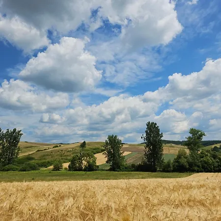 Сasa de vacaciones Füstös Pusztavacs