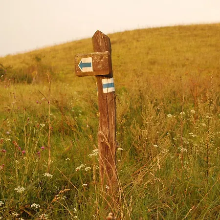 Fuestoes Goemoerszolos *