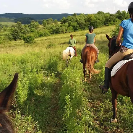 Сasa de vacaciones Füstös