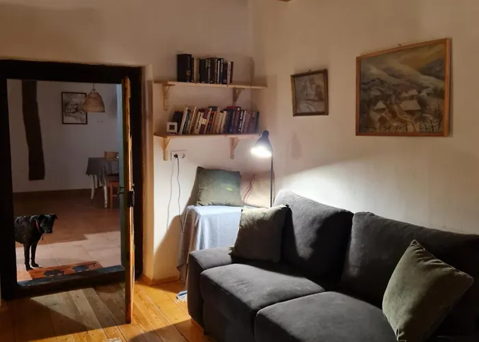 Fuestoes Goemoerszolos *