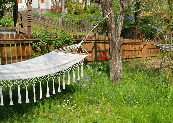 Fuestoes Goemoerszolos *