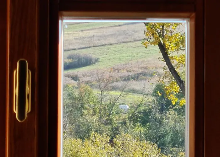 Fuestoes Goemoerszolos