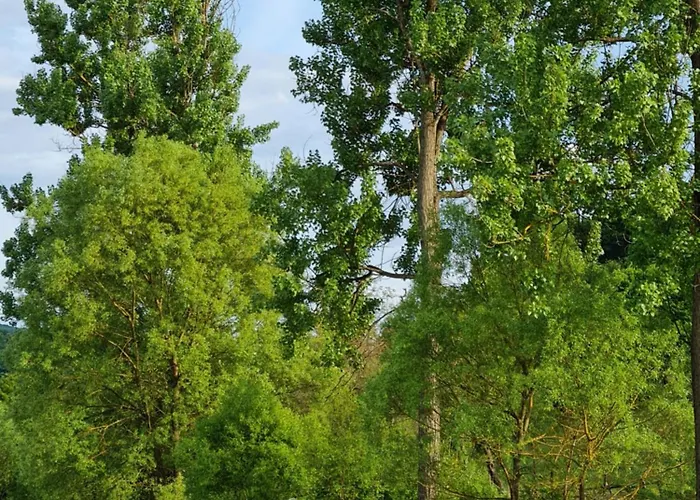 Fuestoes Goemoerszolos Holiday home