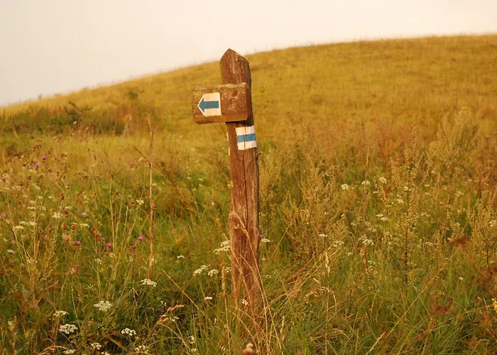 Fuestoes Goemoerszolos *