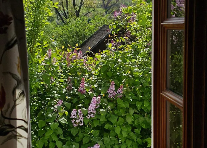 Fuestoes Goemoerszolos *