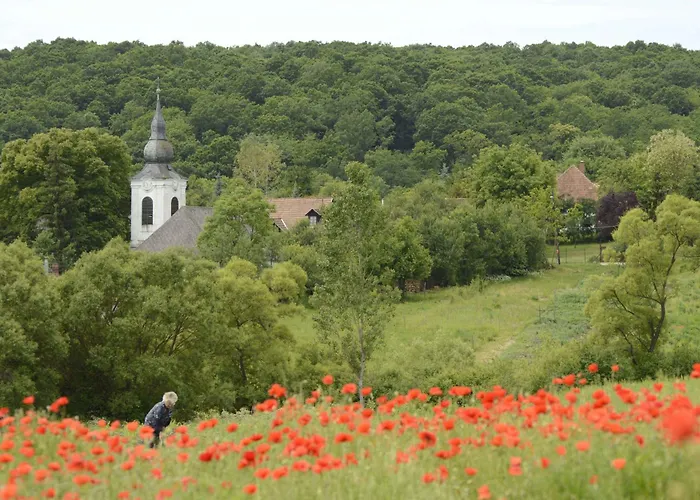 Holiday home Fuestoes Goemoerszolos *