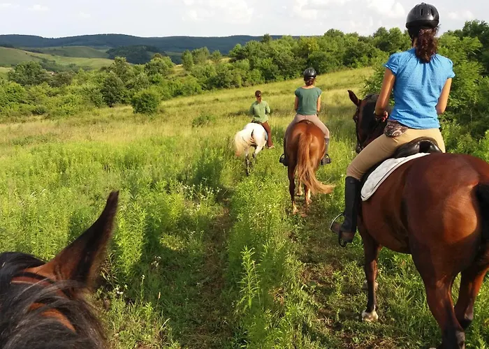 Holiday home Fuestoes Goemoerszolos