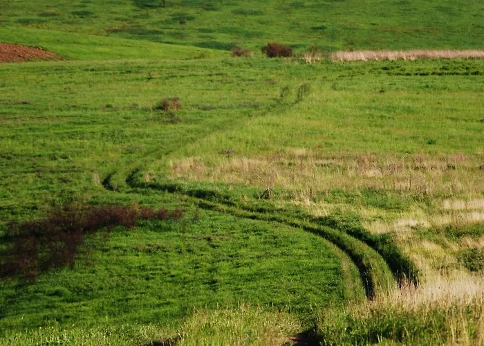 Fuestoes Goemoerszolos *