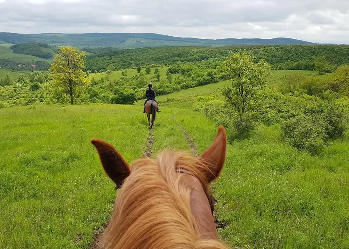 Holiday home Fuestoes Goemoerszolos