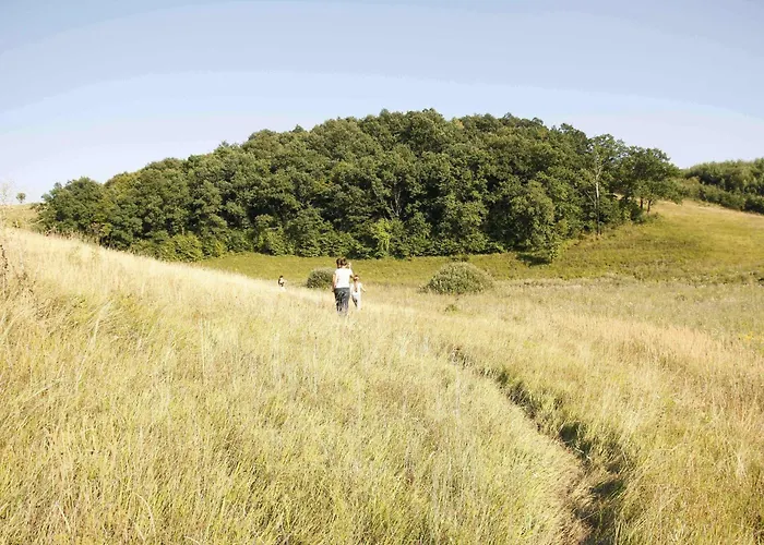 Fuestoes Goemoerszolos Pusztavacs