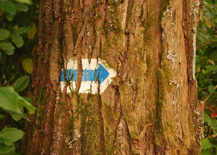 Holiday home Fuestoes Goemoerszolos