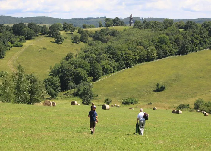 Fuestoes Goemoerszolos * Pusztavacs
